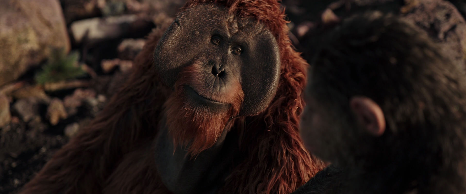 War for the Planet of the Apes (2017) screencap 15147