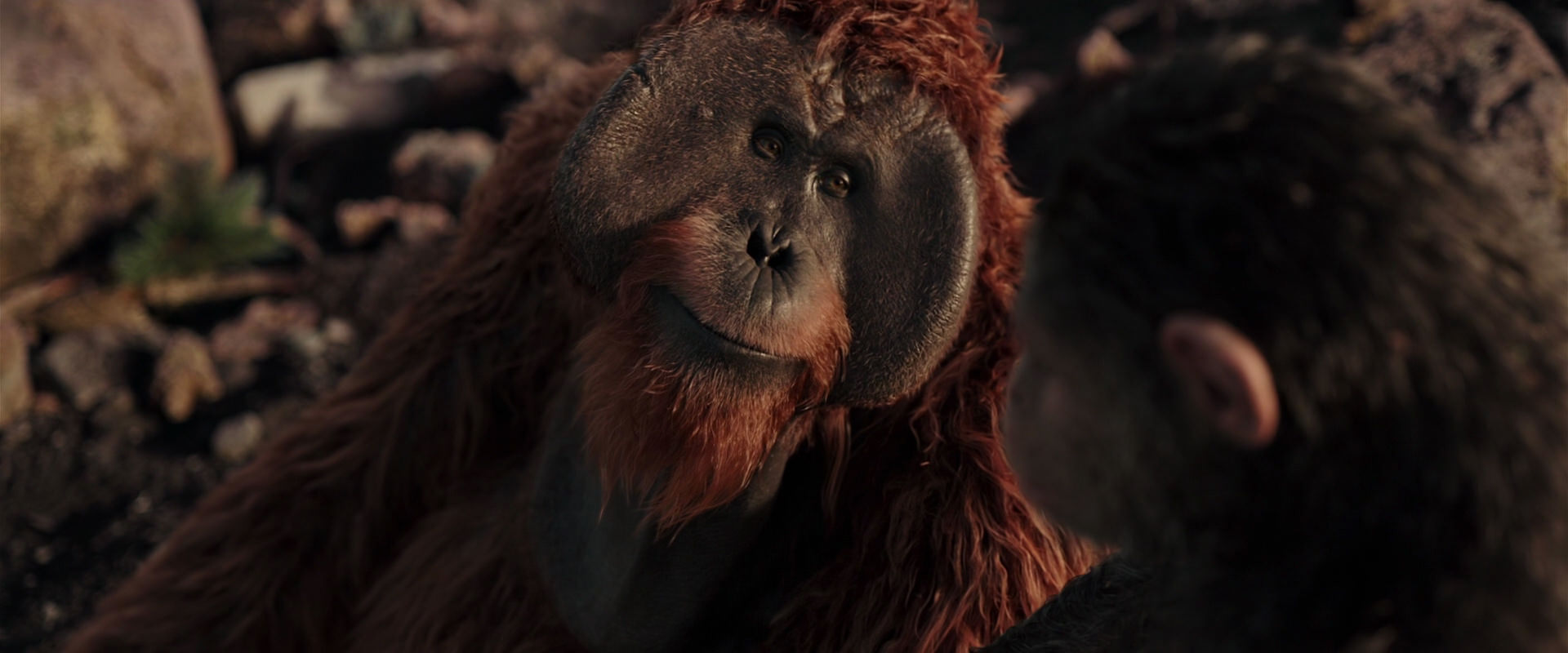War for the Planet of the Apes (2017) movie still 15148