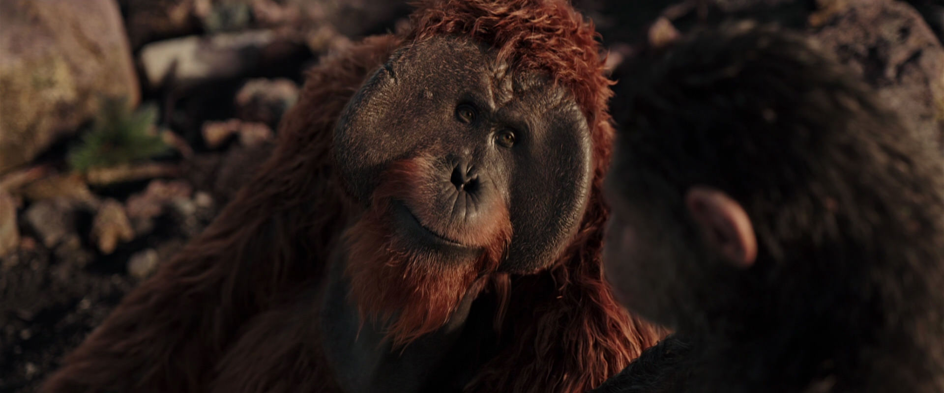 War for the Planet of the Apes (2017) HD screenshot 15149