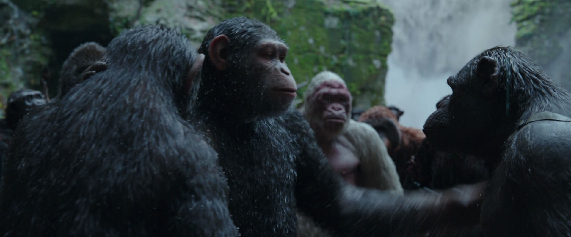 War for the Planet of the Apes (2017) screencap 1515