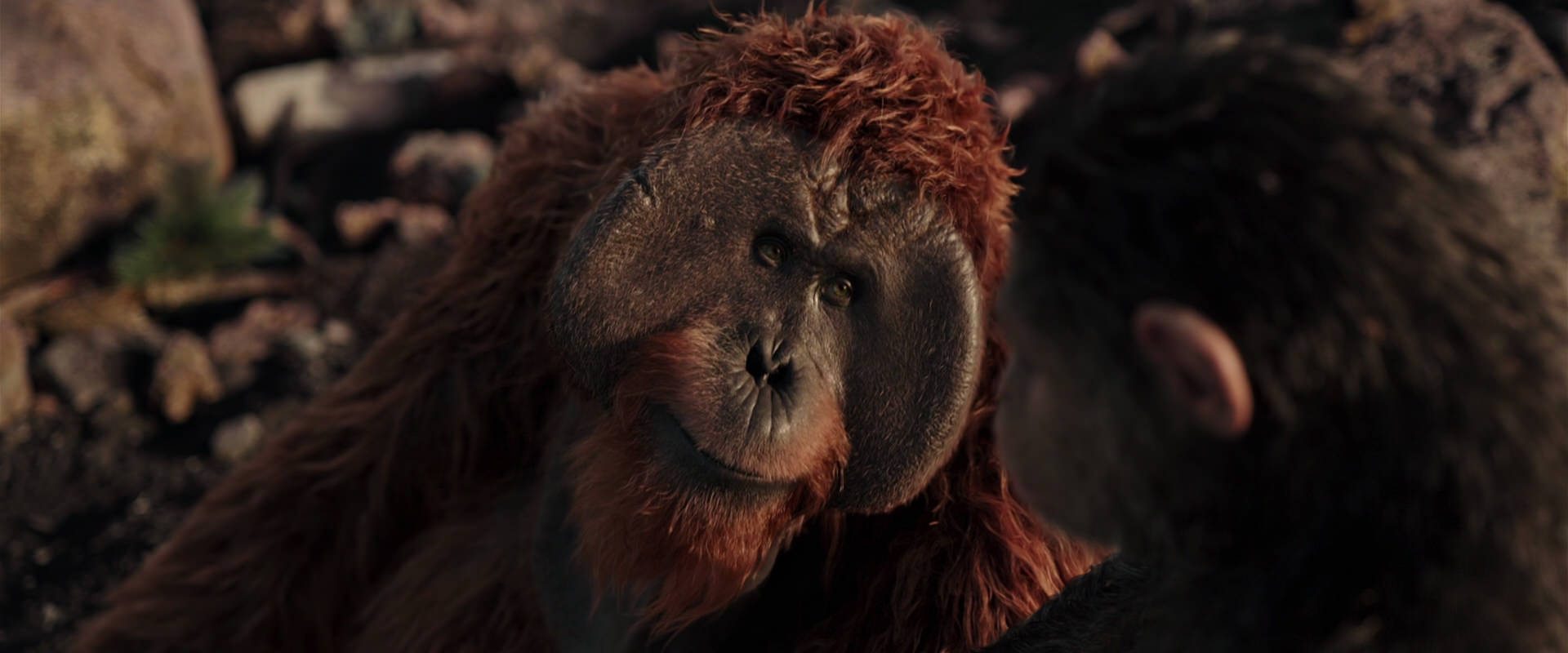 War for the Planet of the Apes (2017) screencap 15150