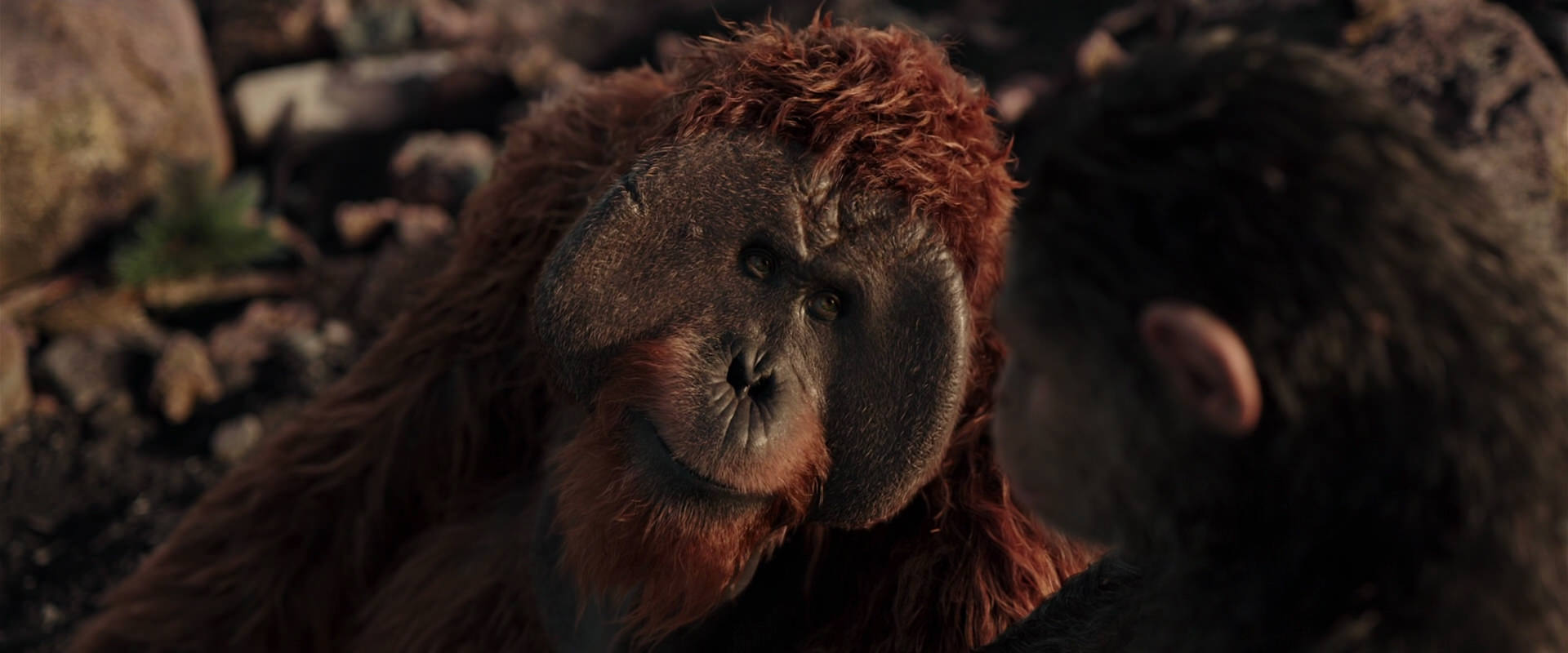 War for the Planet of the Apes (2017) movie still 15151