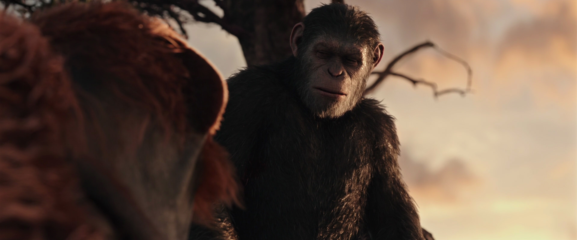 War for the Planet of the Apes (2017) HD screenshot 15155