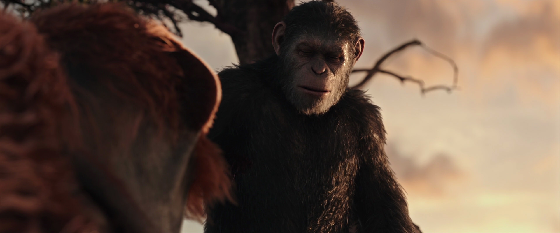 War for the Planet of the Apes (2017) HD screenshot 15158
