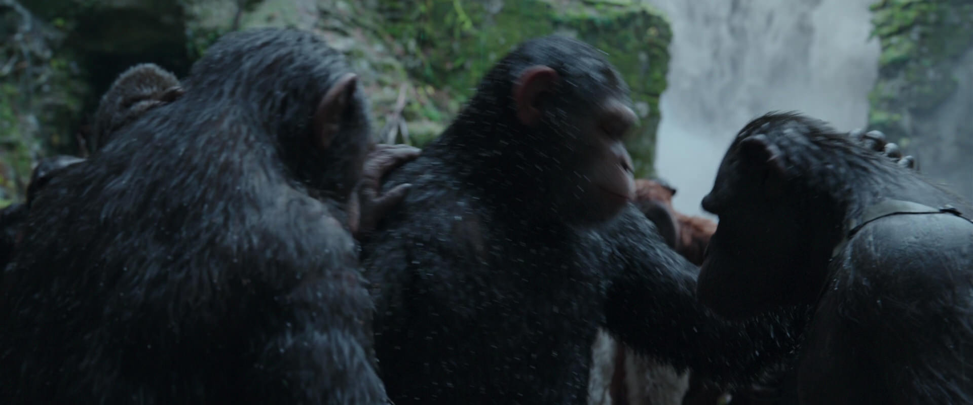 War for the Planet of the Apes (2017) movie still 1516