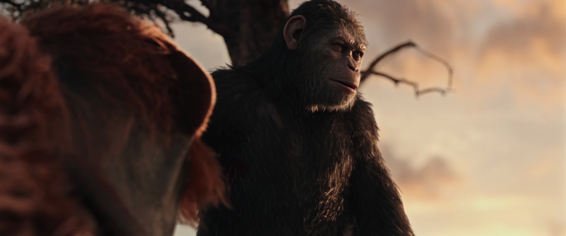 War for the Planet of the Apes (2017) HD screenshot 15167