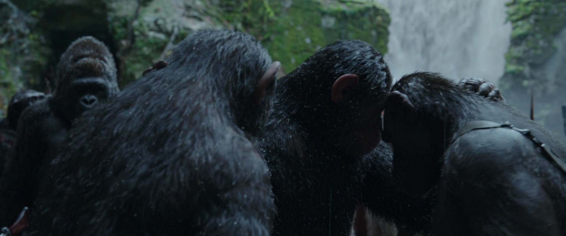War for the Planet of the Apes (2017) HD screenshot 1517