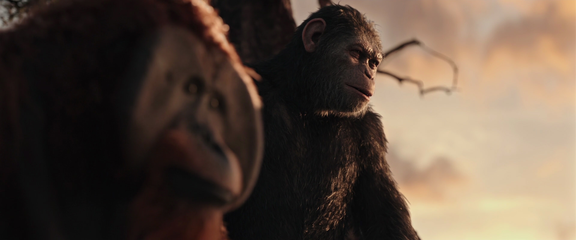 War for the Planet of the Apes (2017) HD screenshot 15176