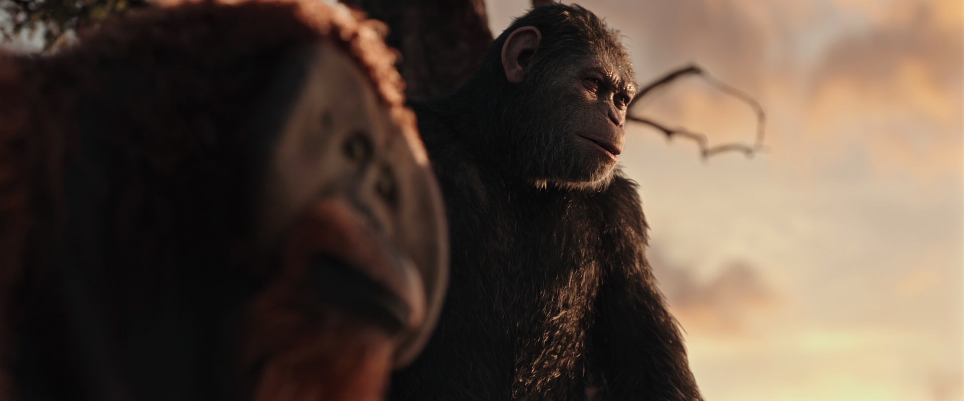 War for the Planet of the Apes (2017) movie still 15178