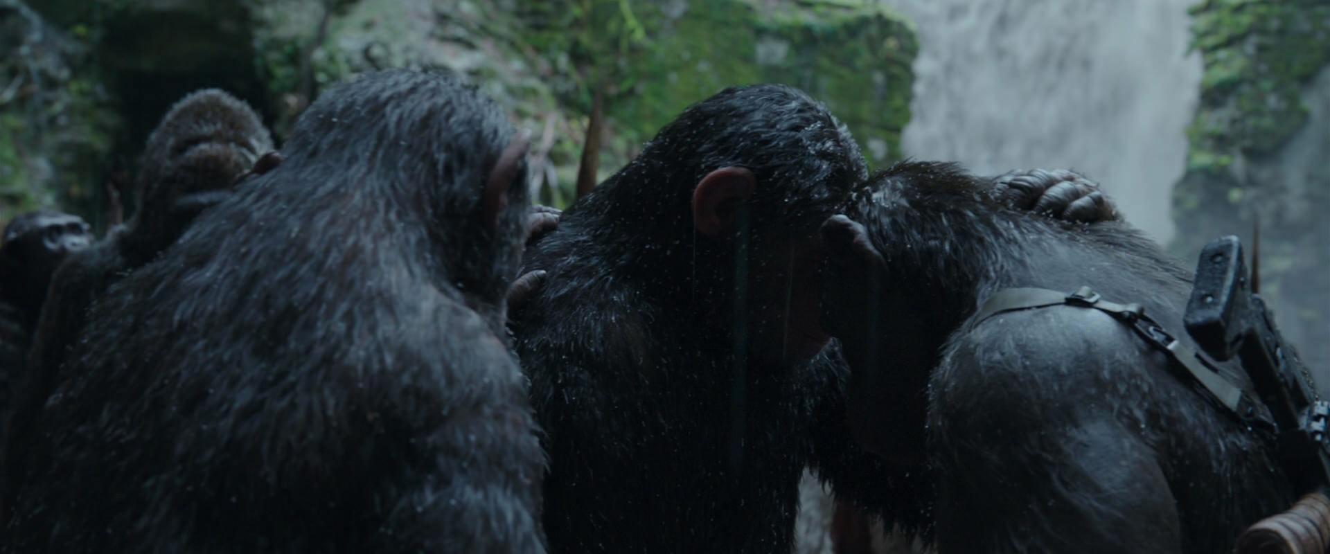 War for the Planet of the Apes (2017) screencap 1518