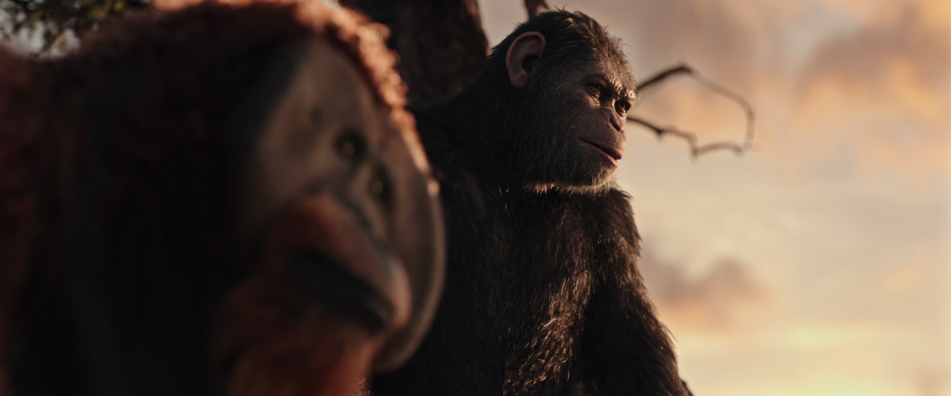 War for the Planet of the Apes (2017) movie still 15181
