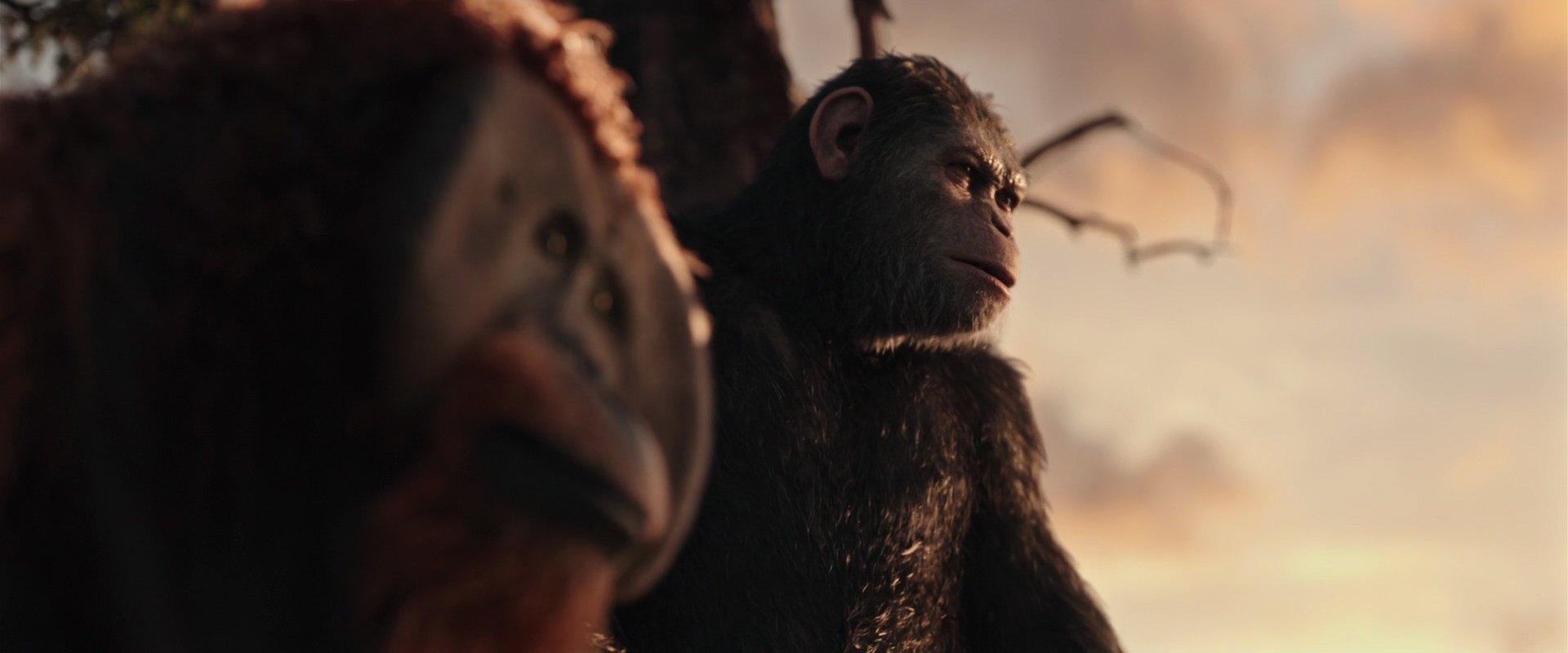 War for the Planet of the Apes (2017) movie still 15184