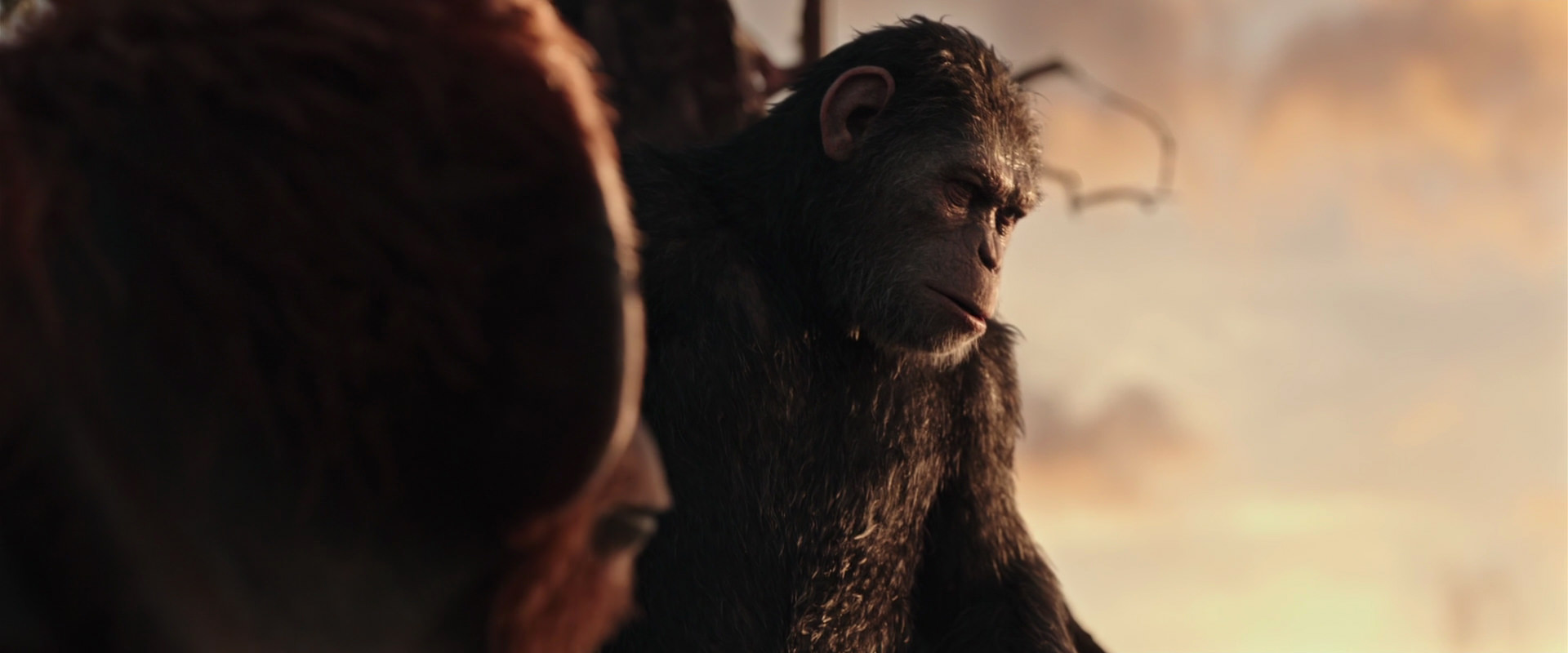War for the Planet of the Apes (2017) screencap 15186