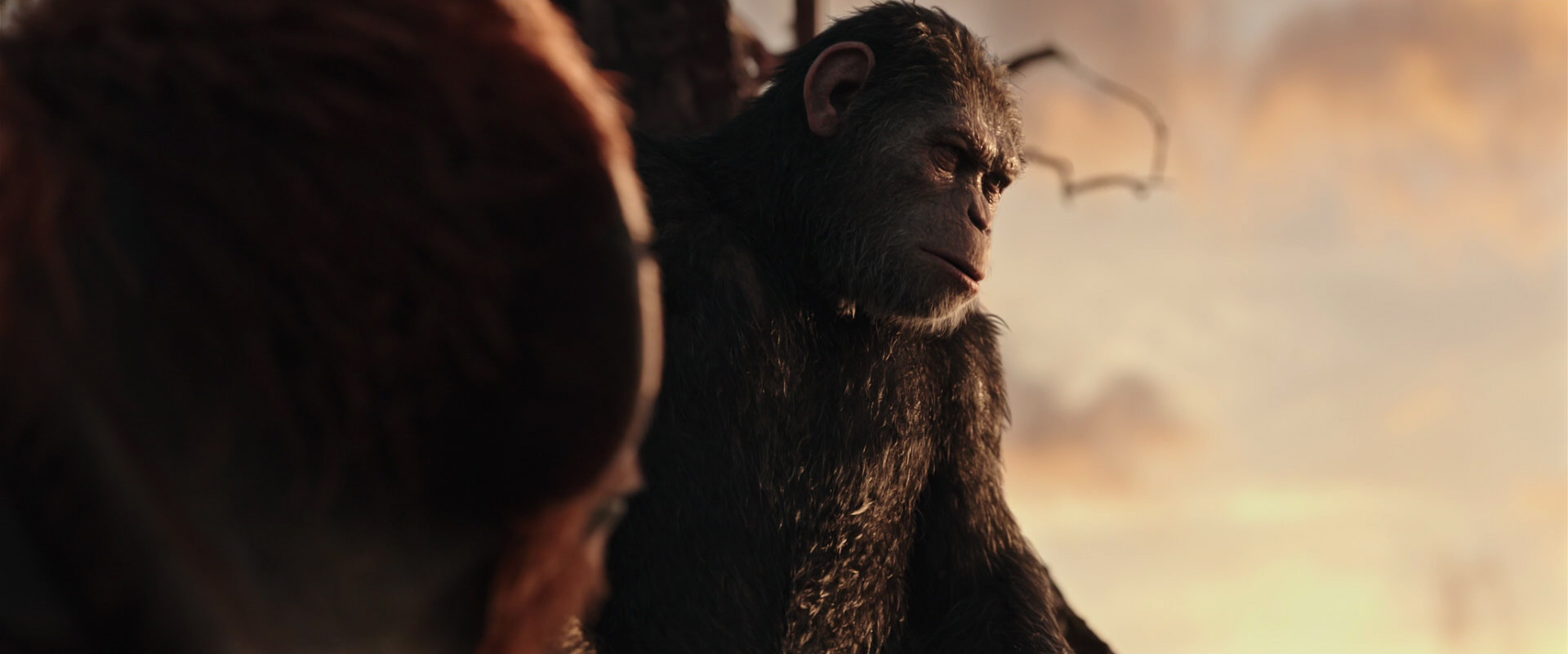 War for the Planet of the Apes (2017) movie still 15187
