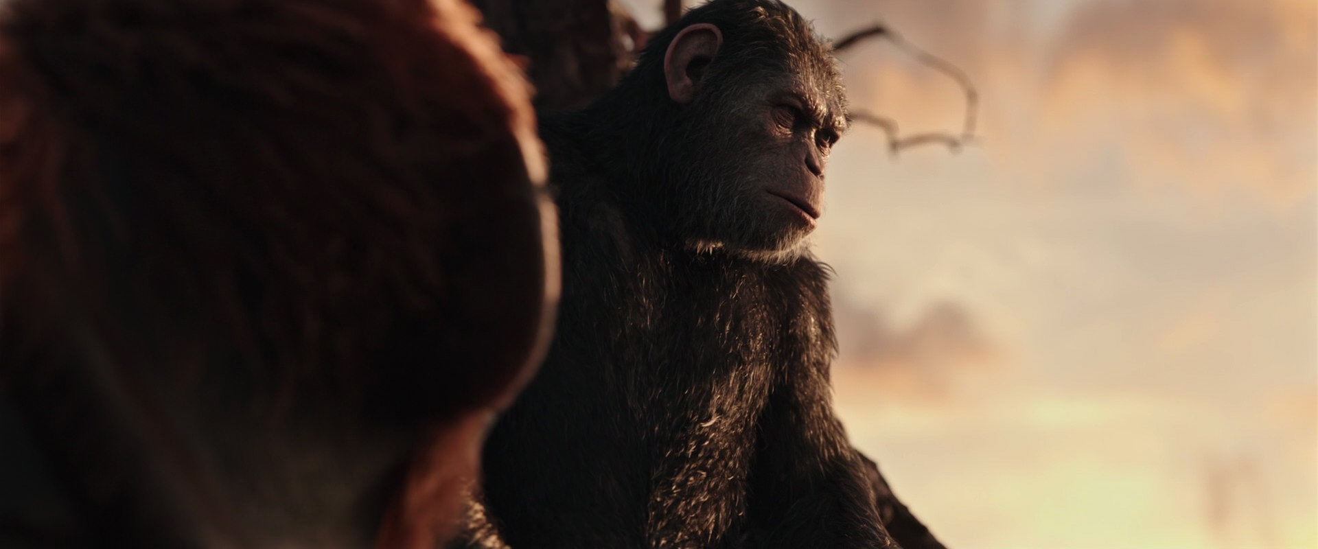 War for the Planet of the Apes (2017) HD screenshot 15188