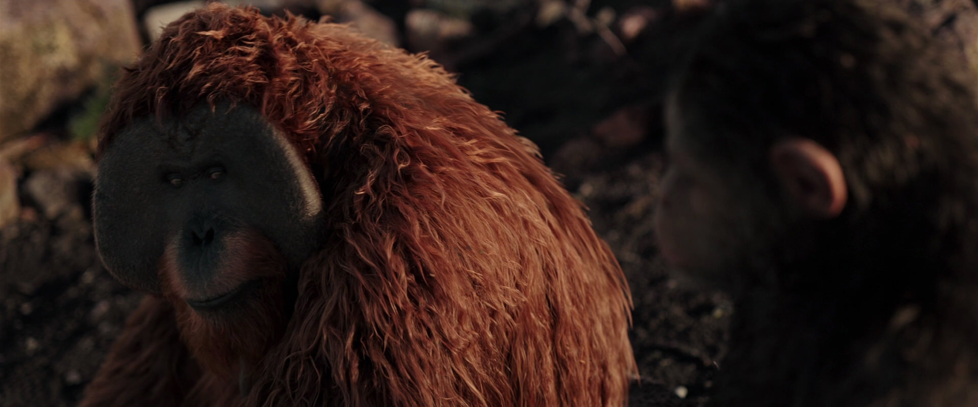 War for the Planet of the Apes (2017) screencap 15189