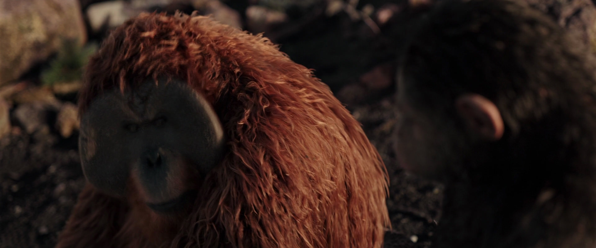 War for the Planet of the Apes (2017) movie still 15190