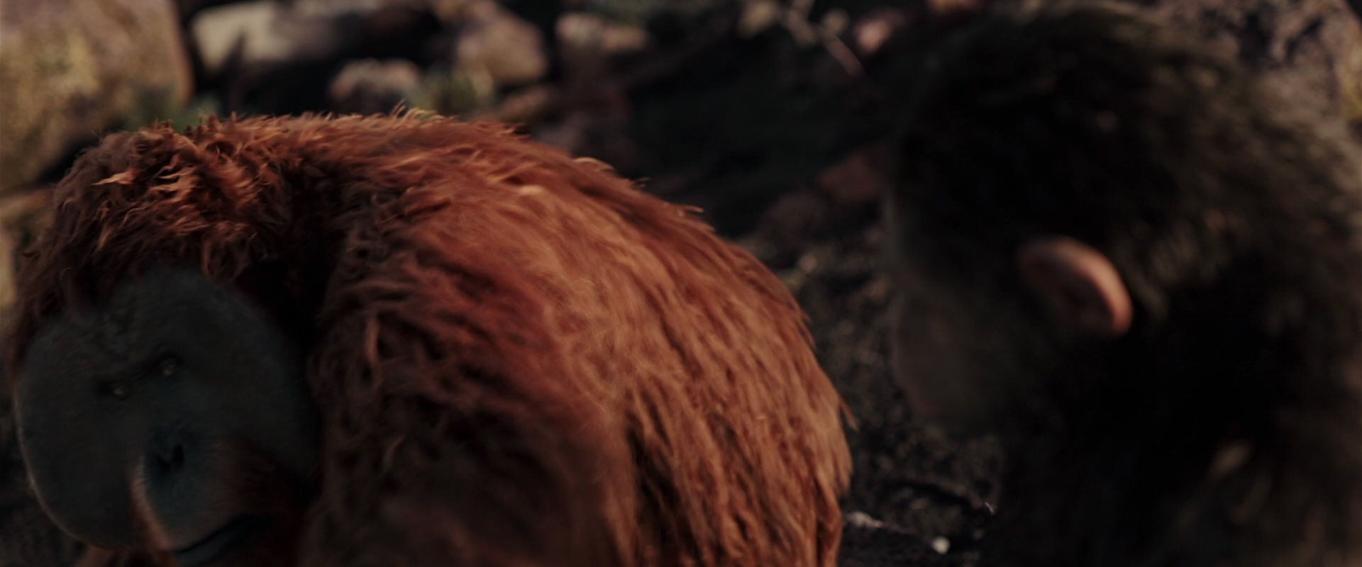 War for the Planet of the Apes (2017) HD screenshot 15191