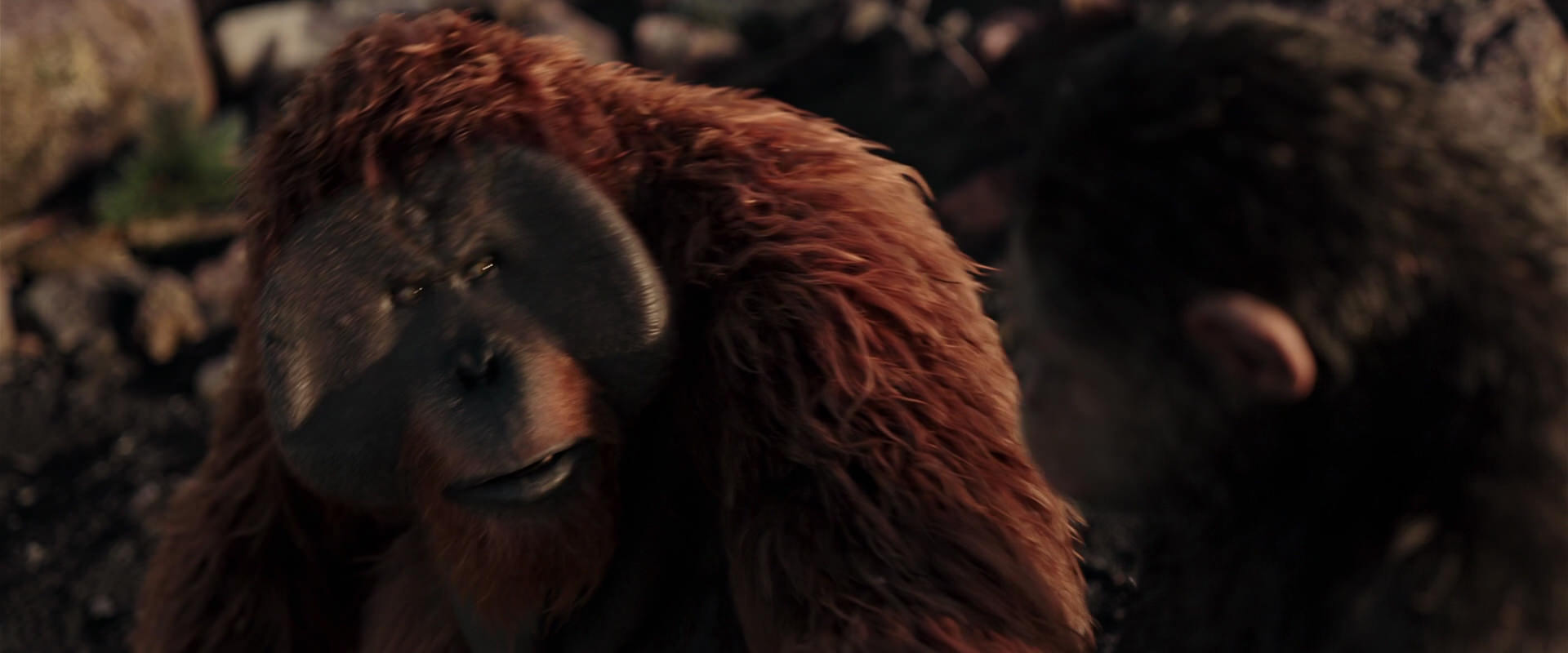 War for the Planet of the Apes (2017) screencap 15192