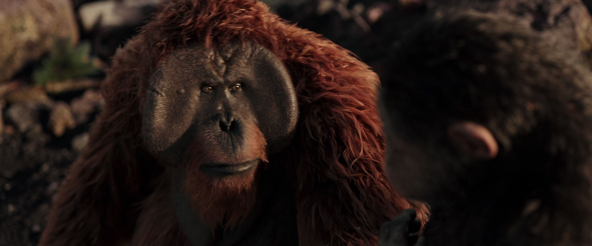 War for the Planet of the Apes (2017) movie still 15193