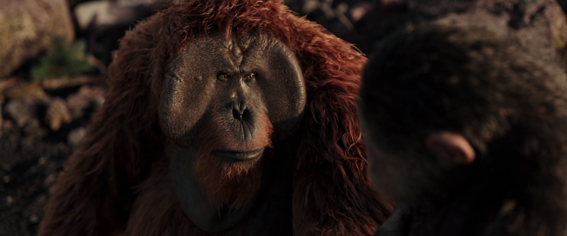 War for the Planet of the Apes (2017) HD screenshot 15194