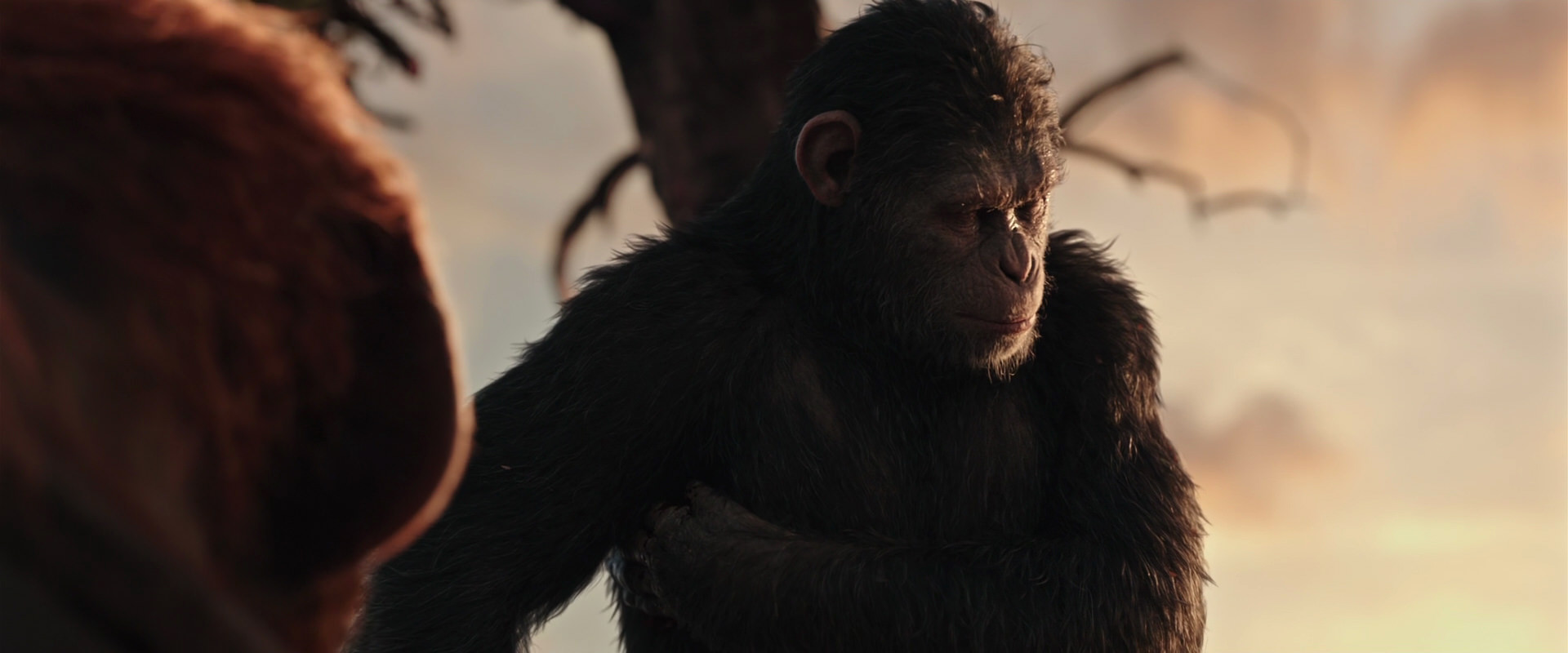 War for the Planet of the Apes (2017) movie still 15199