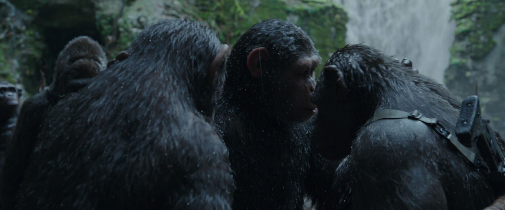 War for the Planet of the Apes (2017) HD screenshot 1520