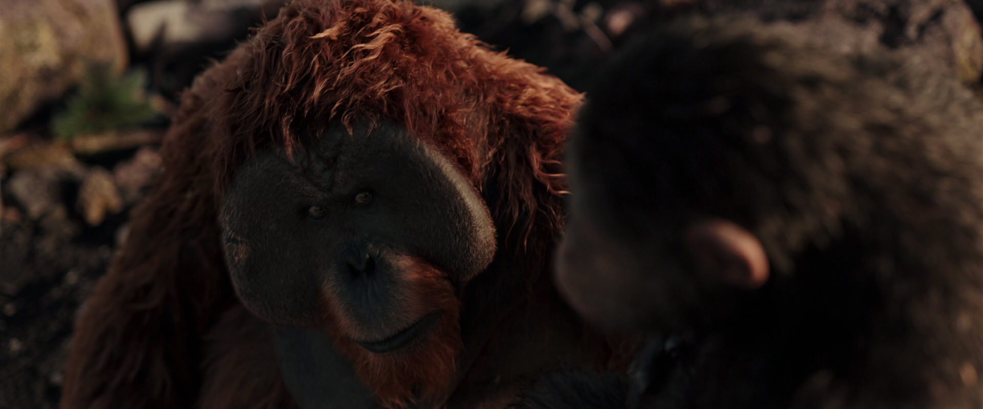 War for the Planet of the Apes (2017) movie still 15205