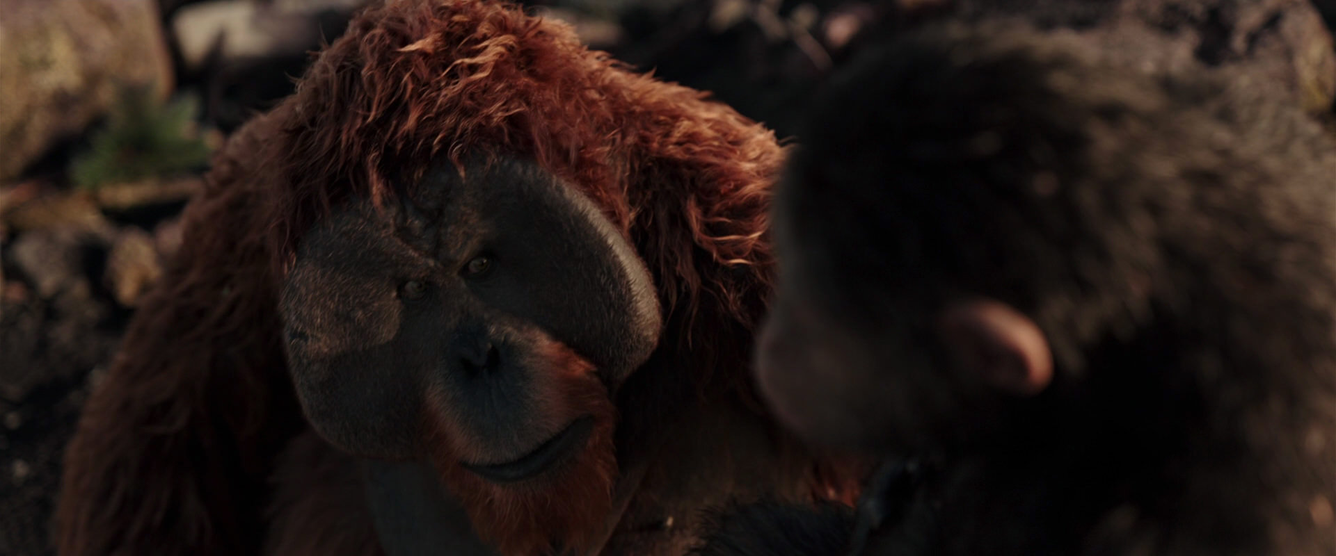 War for the Planet of the Apes (2017) HD screenshot 15206
