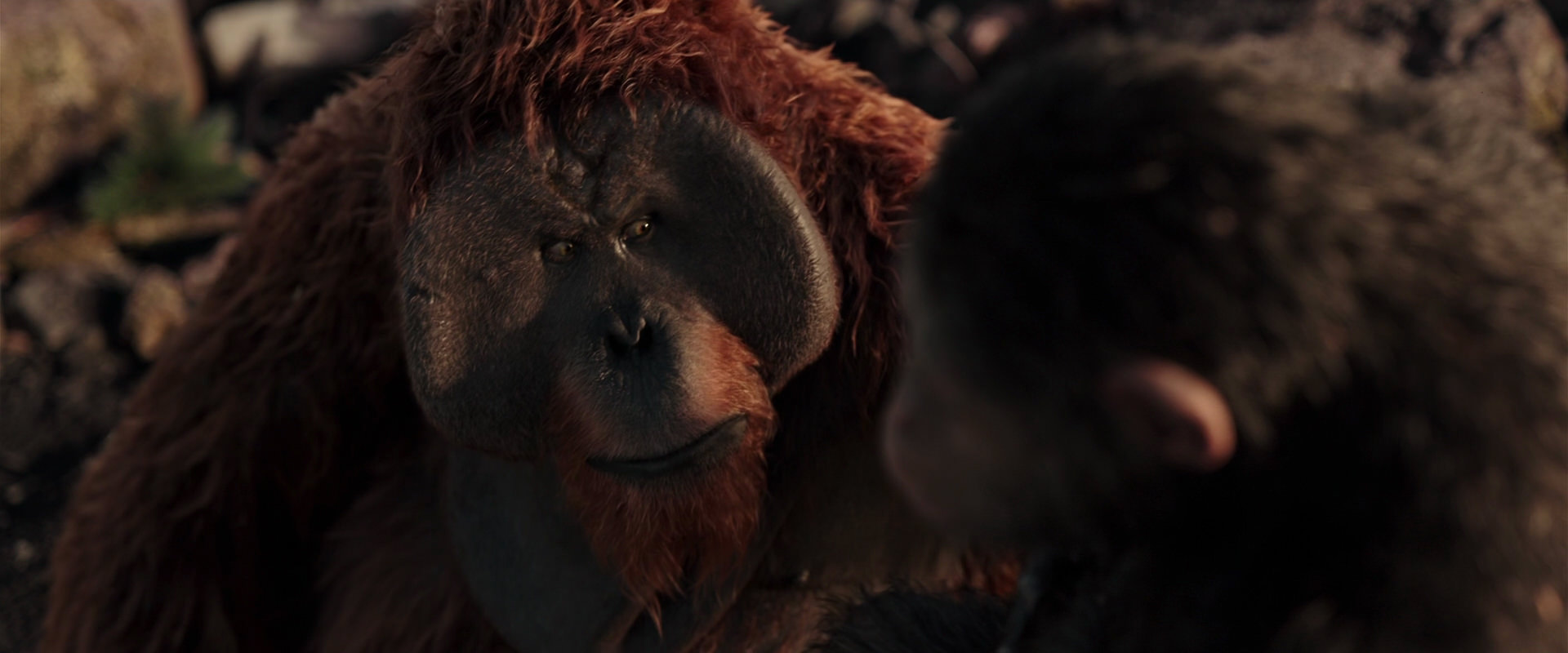 War for the Planet of the Apes (2017) screencap 15207