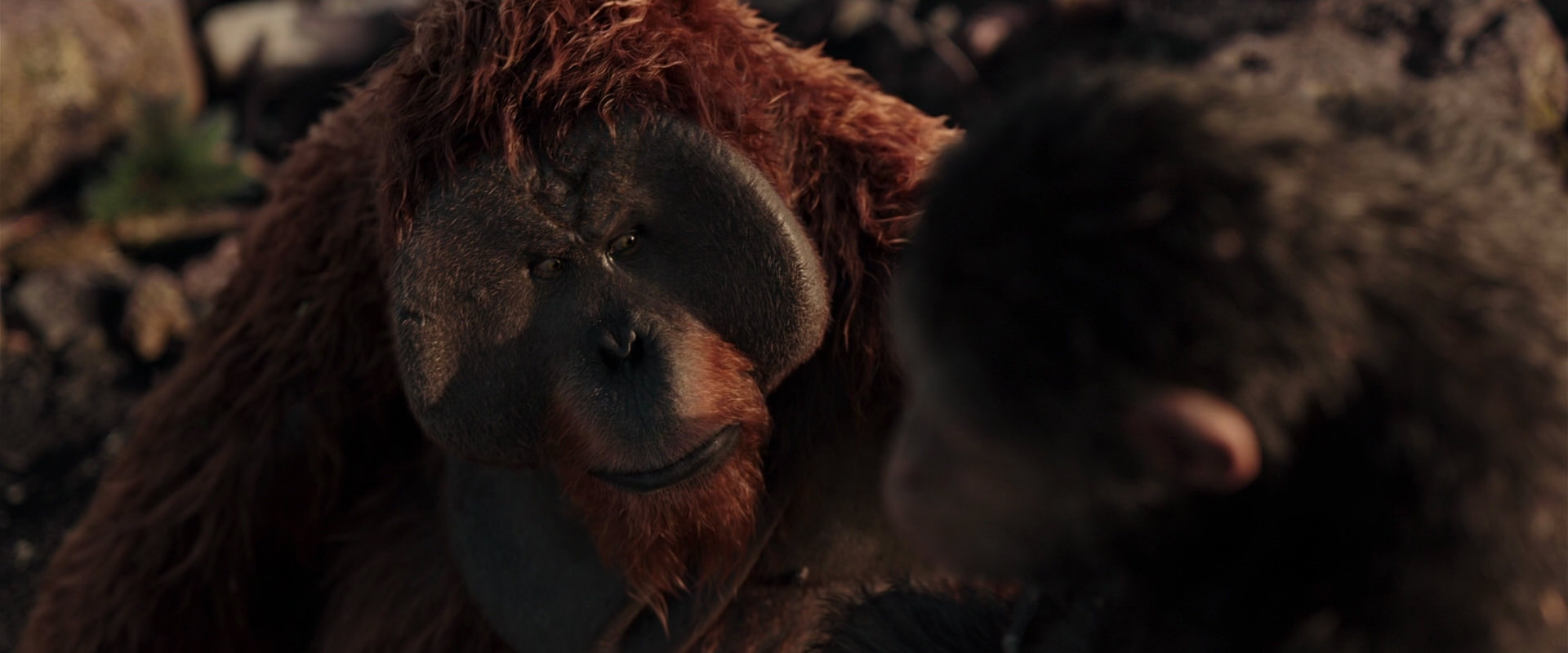 War for the Planet of the Apes (2017) movie still 15208