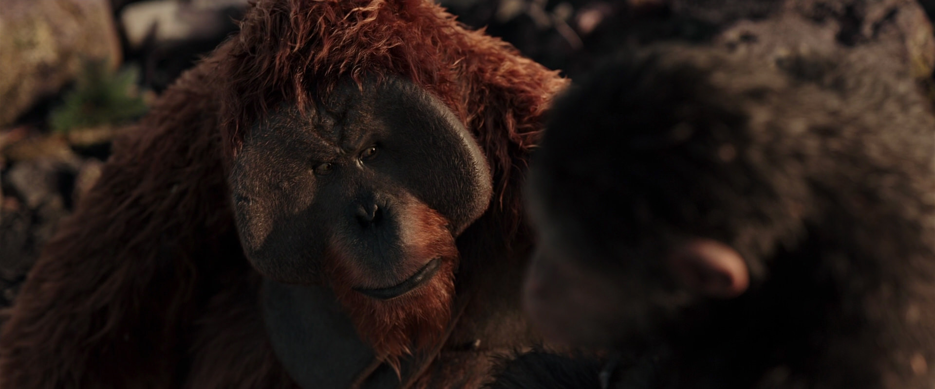War for the Planet of the Apes (2017) HD screenshot 15209