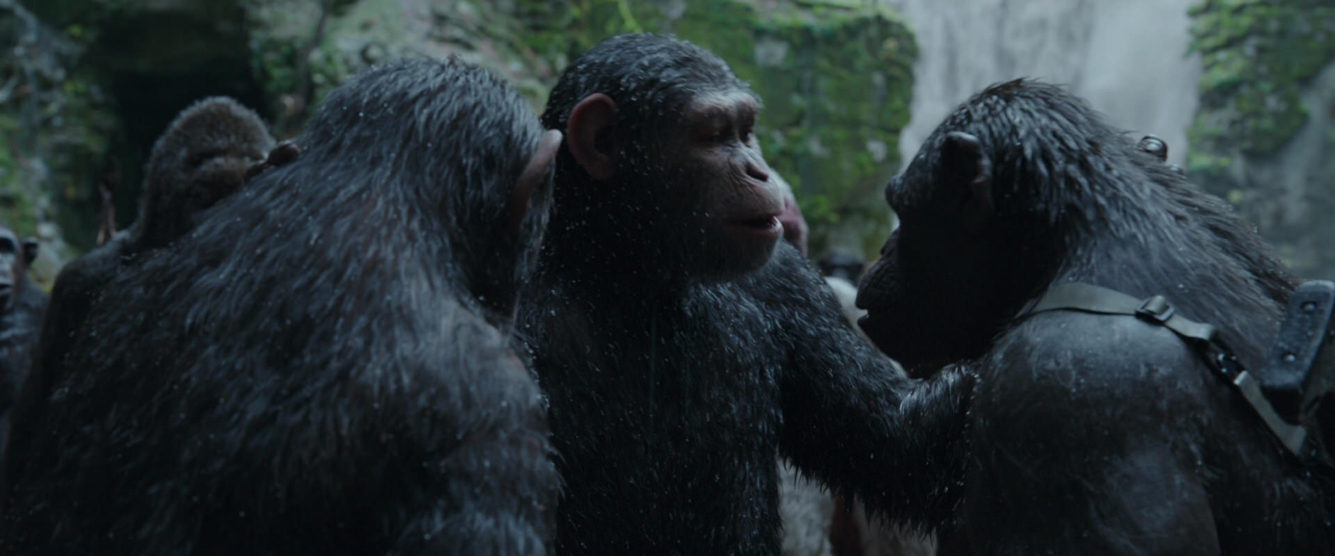 War for the Planet of the Apes (2017) screencap 1521