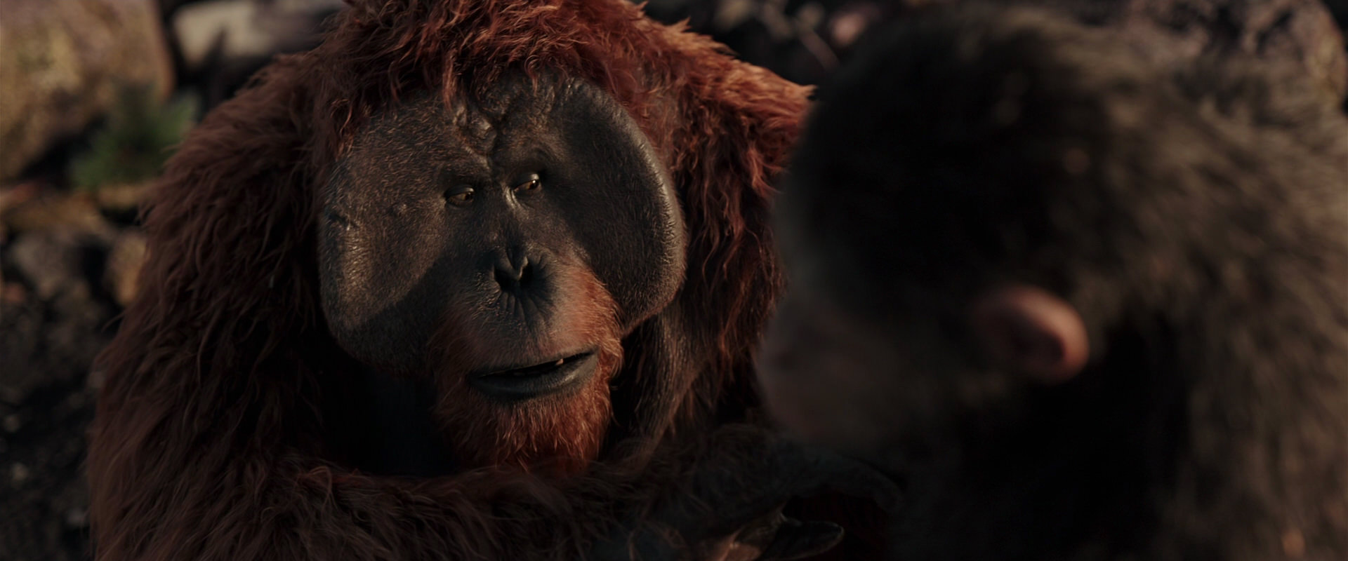 War for the Planet of the Apes (2017) screencap 15219