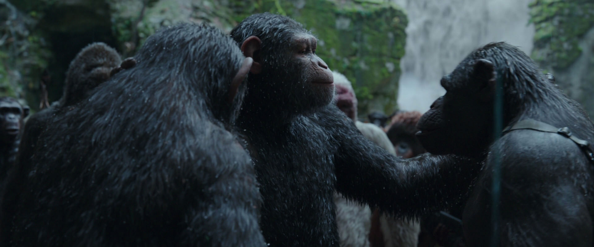 War for the Planet of the Apes (2017) movie still 1522