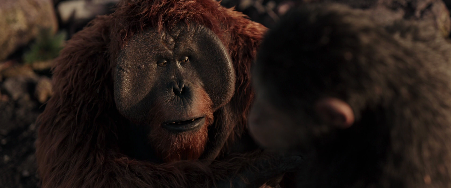 War for the Planet of the Apes (2017) movie still 15220