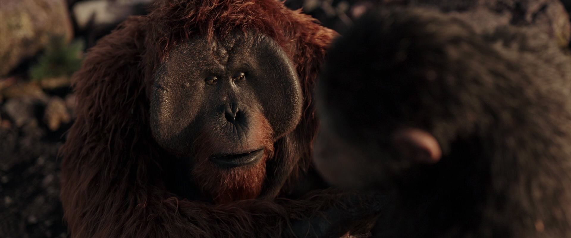 War for the Planet of the Apes (2017) HD screenshot 15221