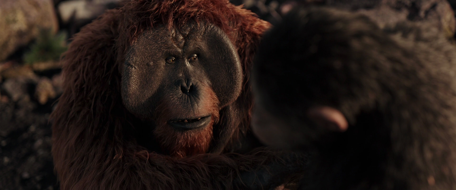 War for the Planet of the Apes (2017) screencap 15222