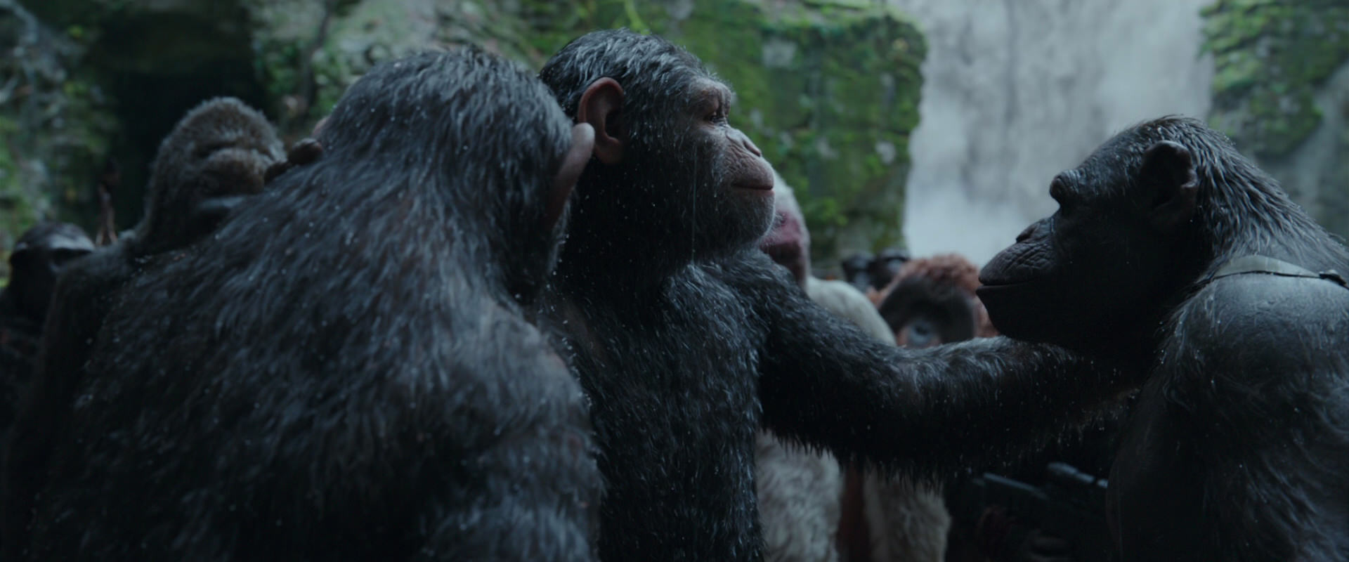 War for the Planet of the Apes (2017) HD screenshot 1523