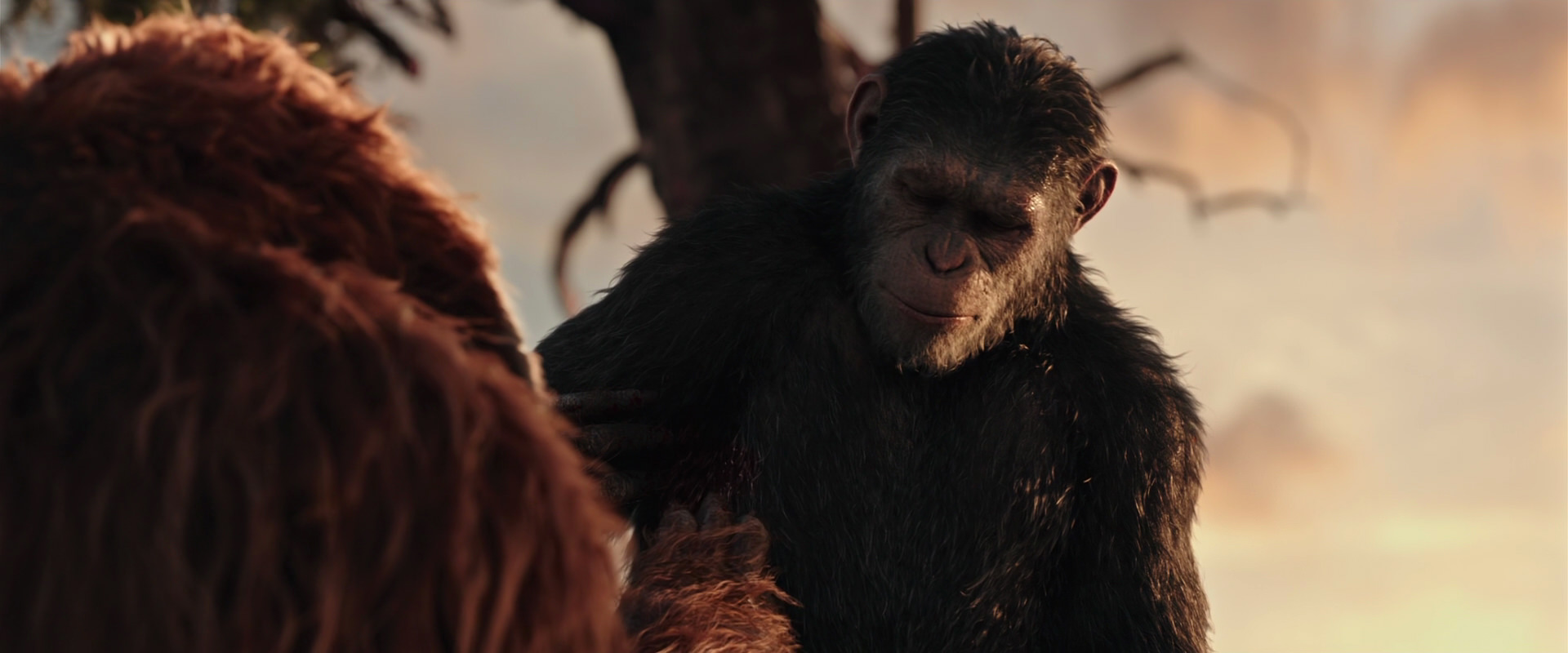 War for the Planet of the Apes (2017) movie still 15232