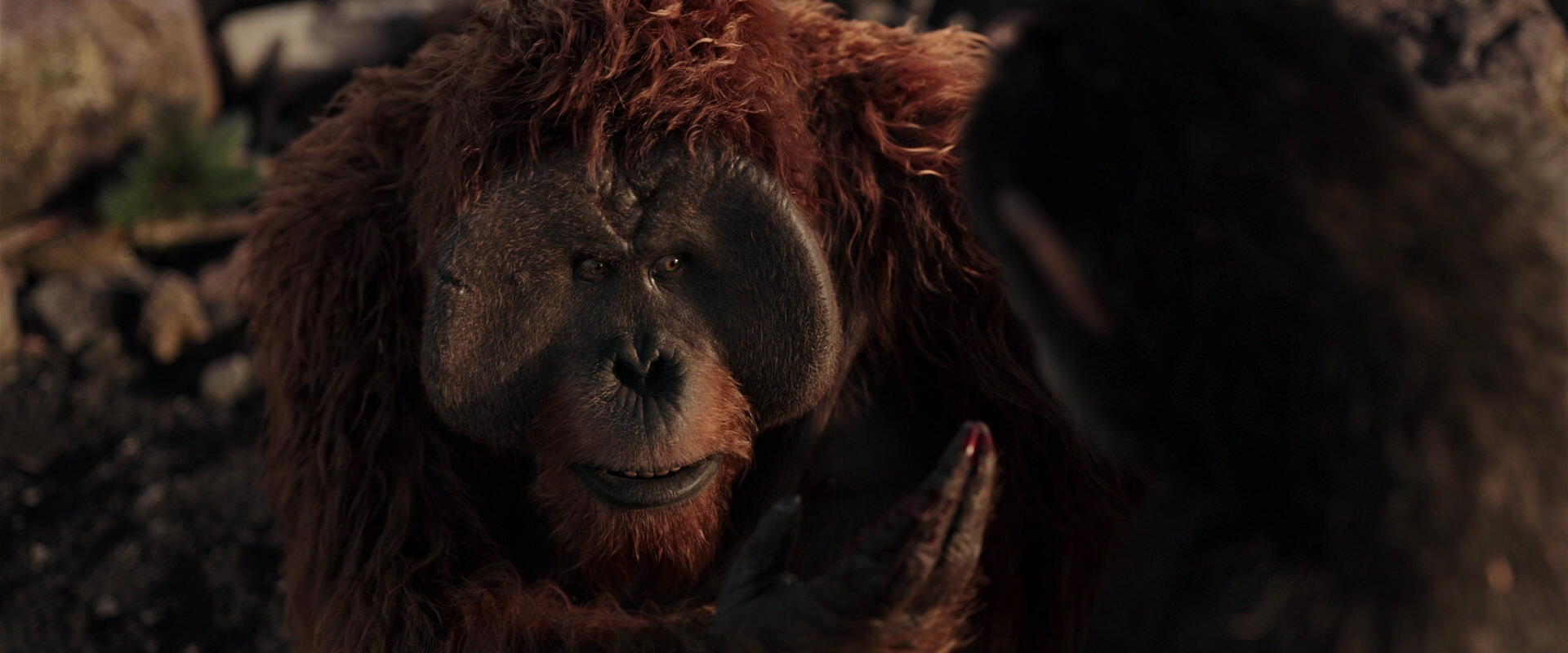 War for the Planet of the Apes (2017) screencap 15234