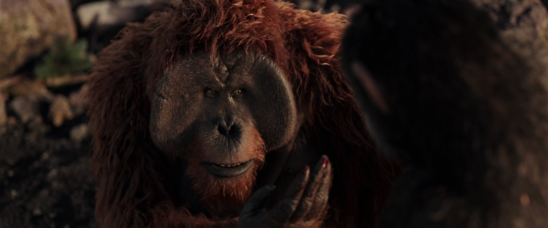 War for the Planet of the Apes (2017) movie still 15235