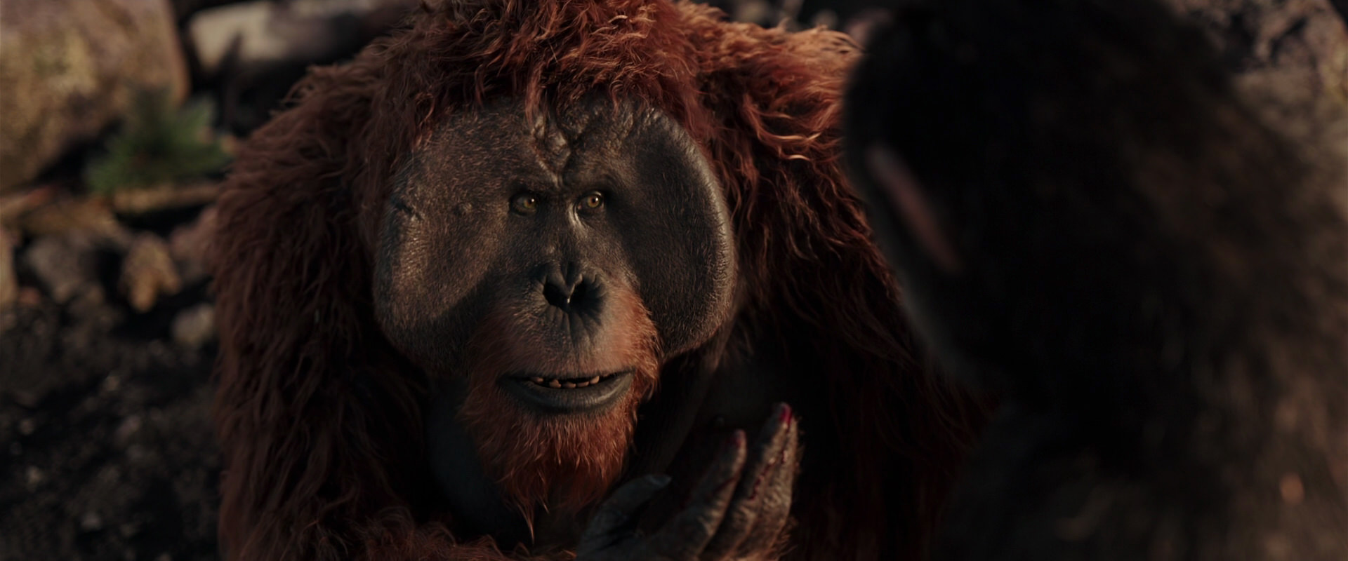 War for the Planet of the Apes (2017) HD screenshot 15236
