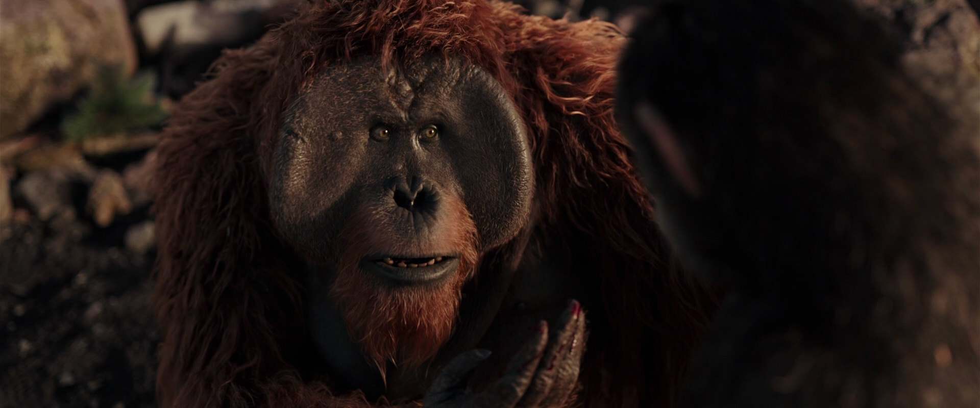 War for the Planet of the Apes (2017) screencap 15237