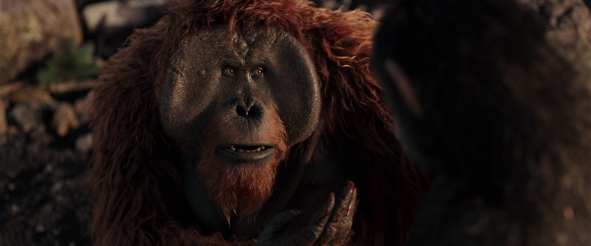 War for the Planet of the Apes (2017) movie still 15238