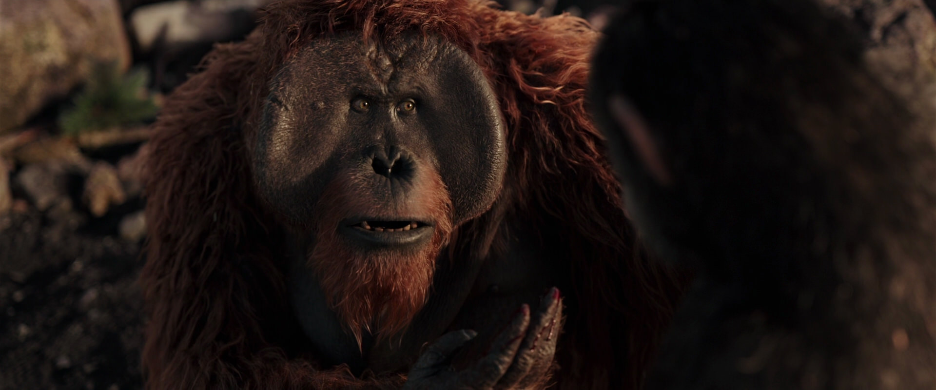 War for the Planet of the Apes (2017) HD screenshot 15239