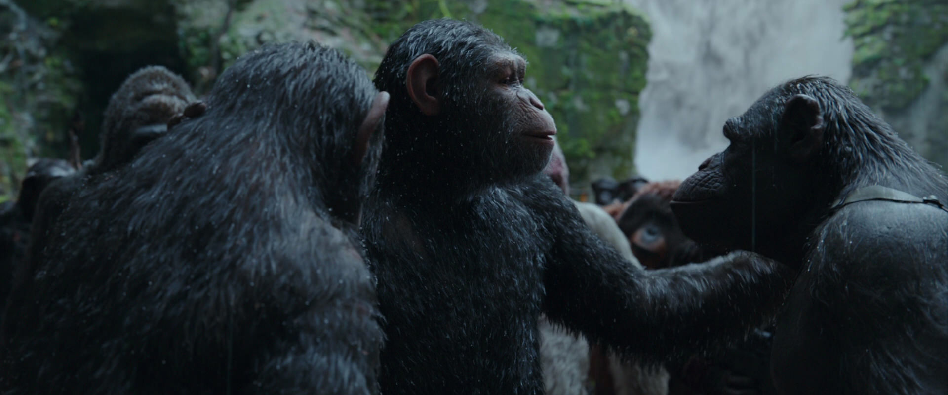 War for the Planet of the Apes (2017) screencap 1524