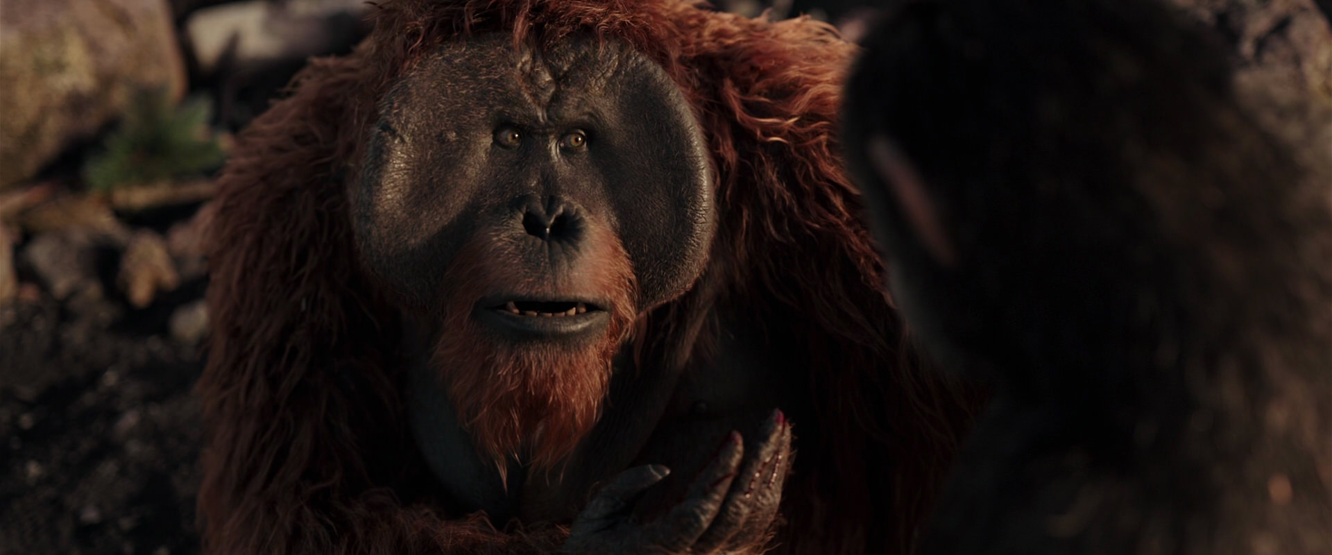 War for the Planet of the Apes (2017) screencap 15240