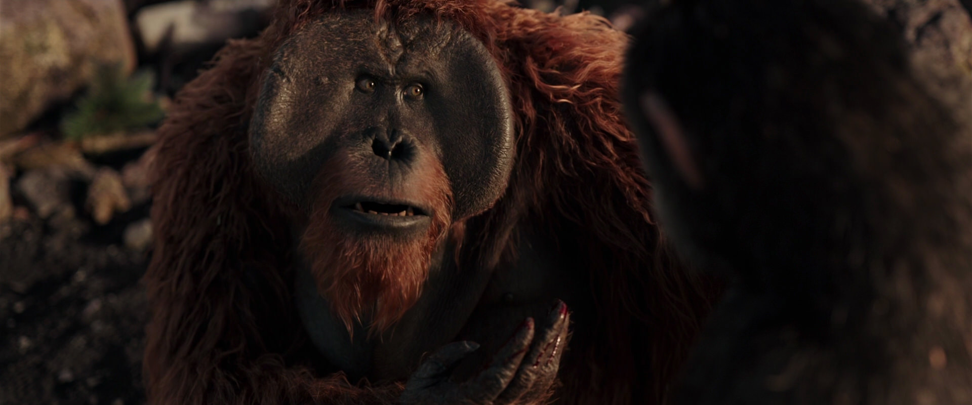 War for the Planet of the Apes (2017) movie still 15241