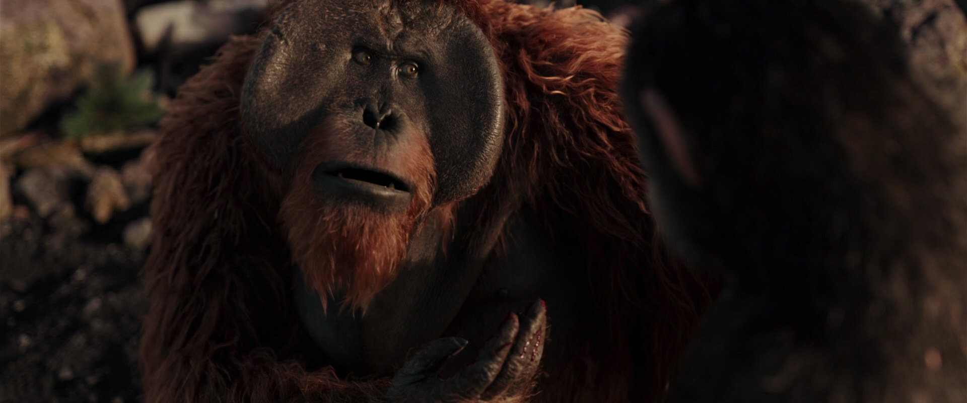 War for the Planet of the Apes (2017) HD screenshot 15242